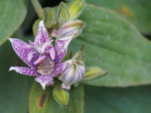 今日のワイン 其の777-3 今日のワイン 其の777-3