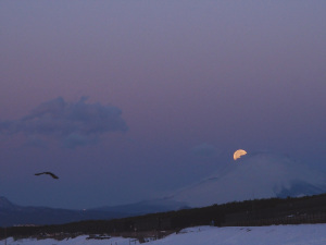 ２月１６日の落月と朝陽-5