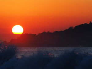 ４日の朝も海岸で-07