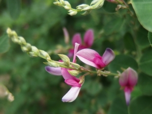 今日の渦雷 其の98-04 今日の渦雷 其の98-04